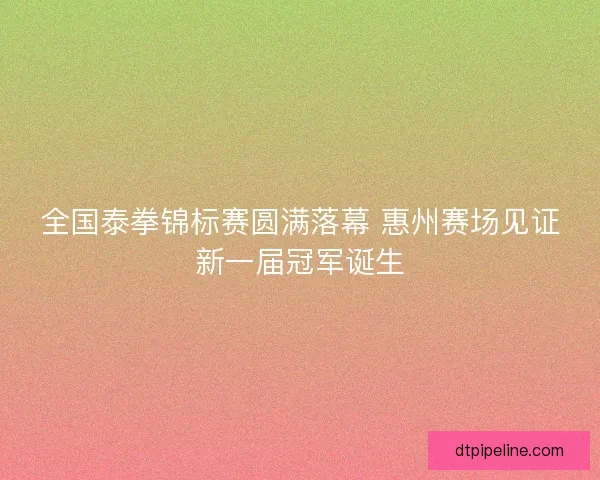 全国泰拳锦标赛圆满落幕 惠州赛场见证新一届冠军诞生