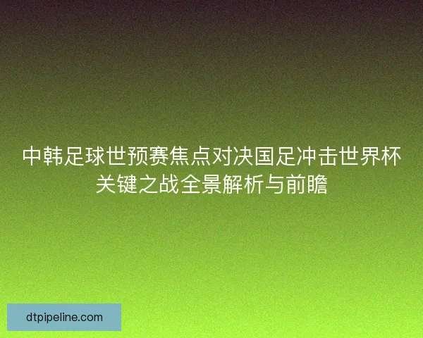中韩足球世预赛焦点对决国足冲击世界杯关键之战全景解析与前瞻