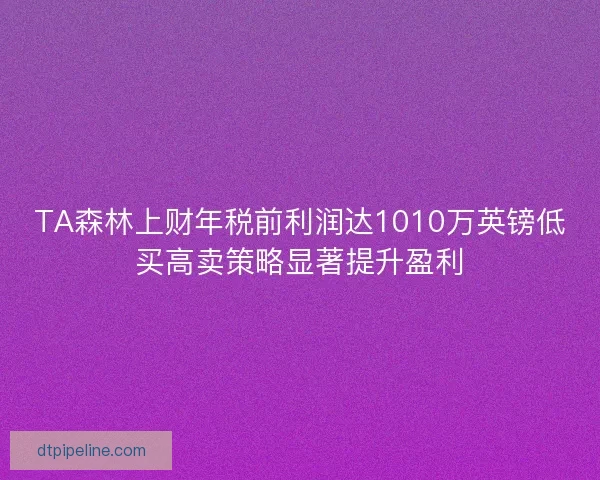 TA森林上财年税前利润达1010万英镑低买高卖策略显著提升盈利