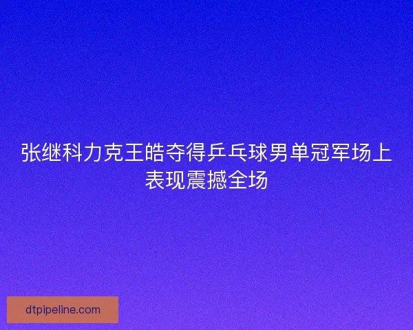 张继科力克王皓夺得乒乓球男单冠军场上表现震撼全场